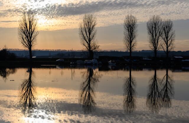 Neckar Laufen am Neckar  Sonnenuntergang