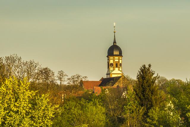 Martinuskirche Sontheim, weithin sichtbar über den Bäumen des Neckarufer's