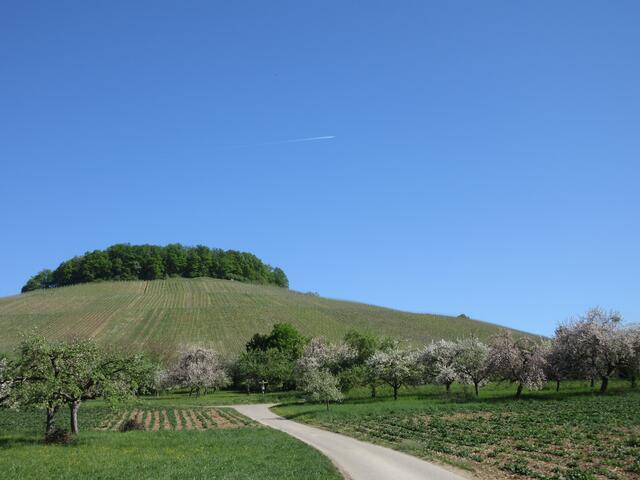 Über dem Forstberg mal ein Flugzeug.