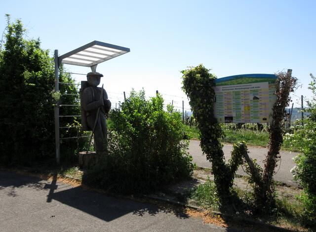 Beim Parkplatz beginnt der Weinpanoramaweg