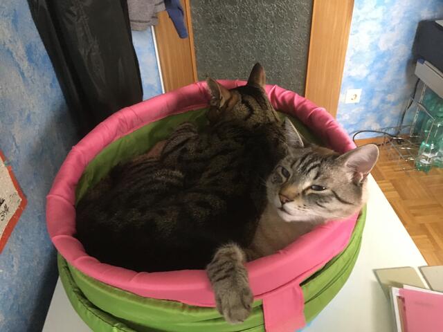 Zu zweit auf der Gefriertruhe