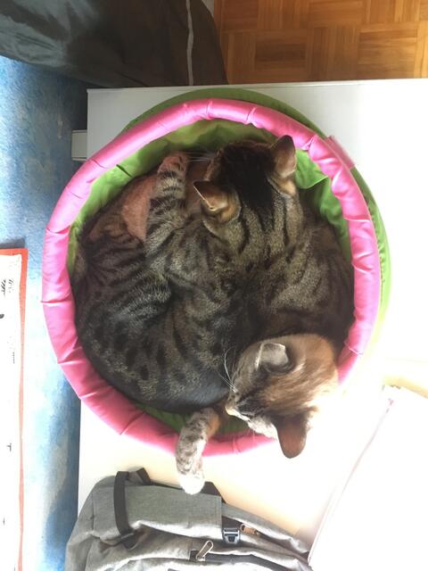 Von Oben gesehen ... Zu zweit auf der Gefriertruhe