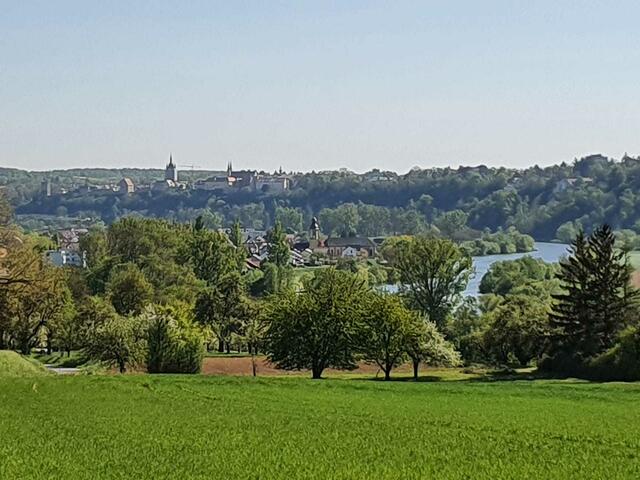 Offenau im Frühjahr