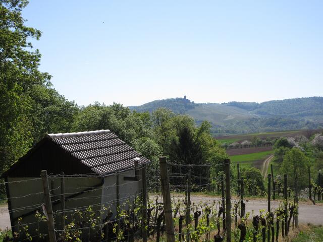 Ausblick zur Wildeck