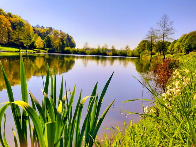 Ruhe und Natur genießen am Tiroler See