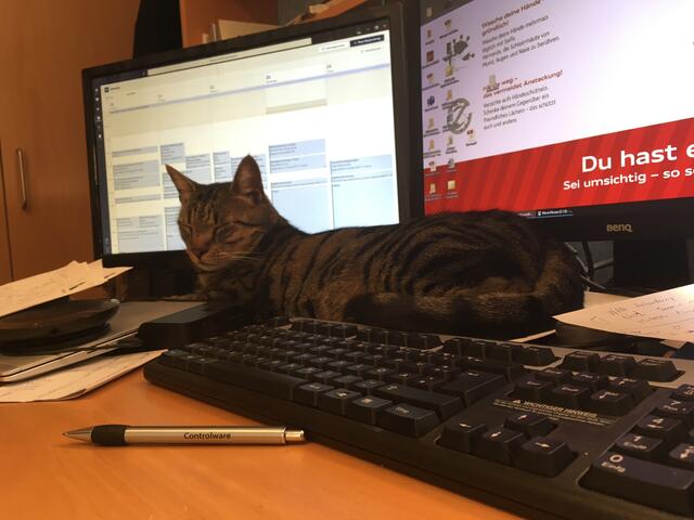 Mikesch noch wach ....