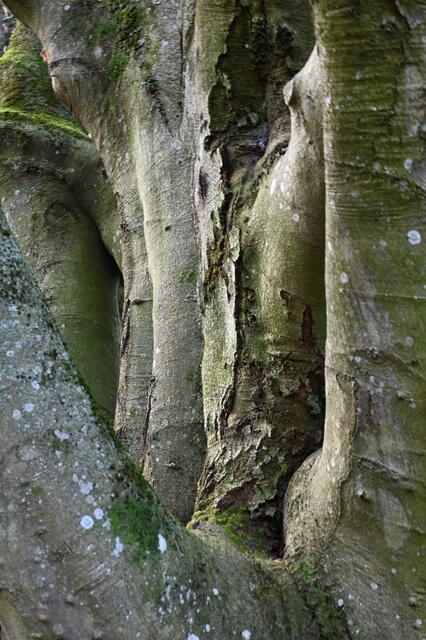 Im Naturschutzgebiet von Heilbronn