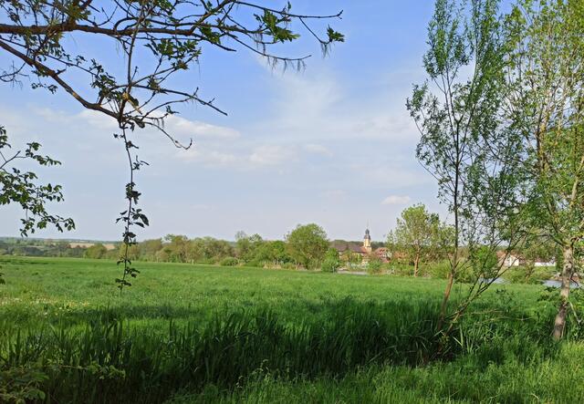Offenau im Frühjahr