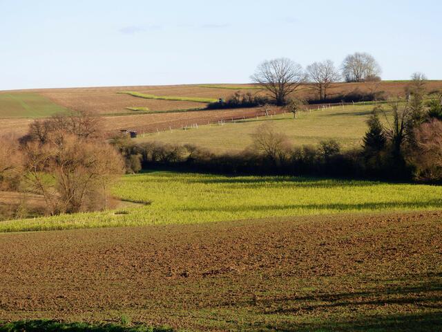 weites Land am Obergriesheimer Berg