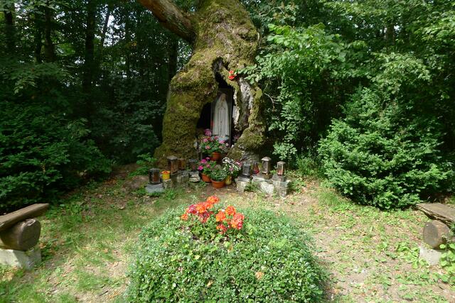 Madonna in der Eiche - bei Diebach