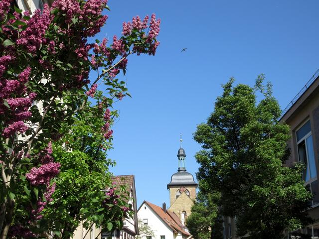 Ein etwas anderer Blick auf die Regiswindiskirche. Die Tour führte über die Katharinenstraße in den Ort hinein und über den Kies zurück zum Museum.
