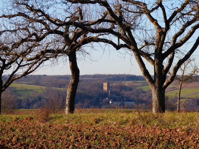 Ausblicke am Obergriesheimer Berg