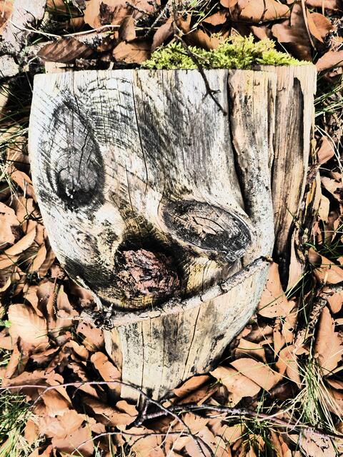 Maske