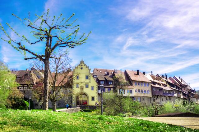 Blick auf das Würzburger Tor und auf die gut erhaltene Stadtmauer