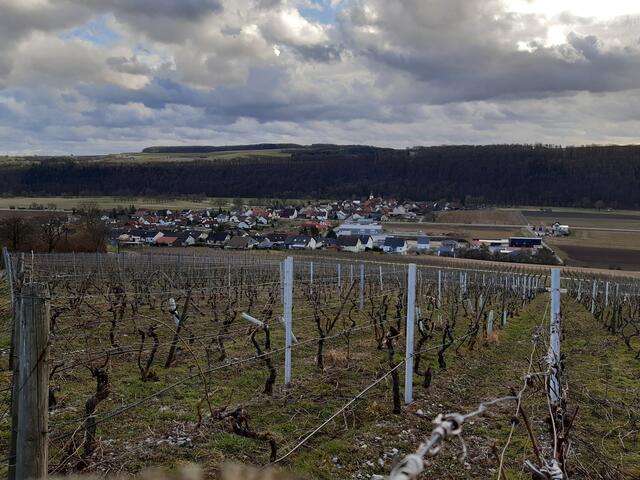 Blick auf den Orteils Klepsau