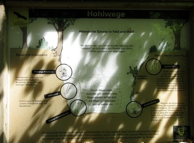 Hohlwege sind historische Gassen in Feld und Wald