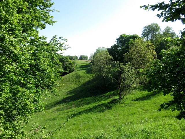 Die Wiesen scheinen saftig grün, da trügt der Schein. Alles knochentrocken.