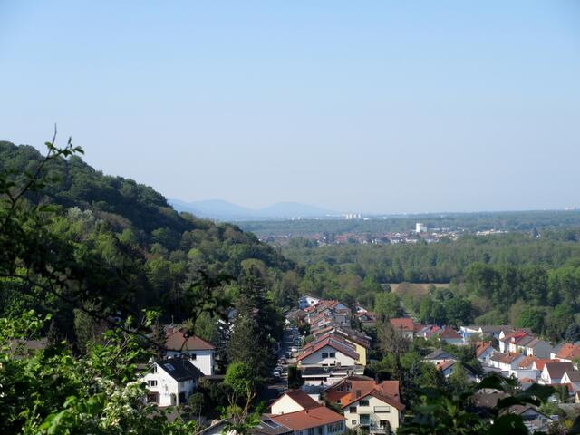 Am Horizont der Nordschwarzwald