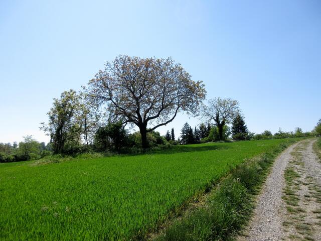 Strahlend blauer Himmel und eine abwechslungsreiche Landschaft lassen die unbequemen Schotter- und Teerwege, die zudem noch von zu vielen Radfahrern genutzt werden, in den Hintergrund treten.