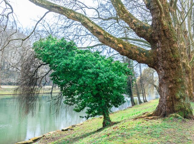Ich verneige mich vor Ihrer Majestät, dem Neckar.