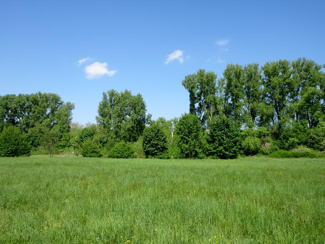Naturschutzgebiet Altneckar