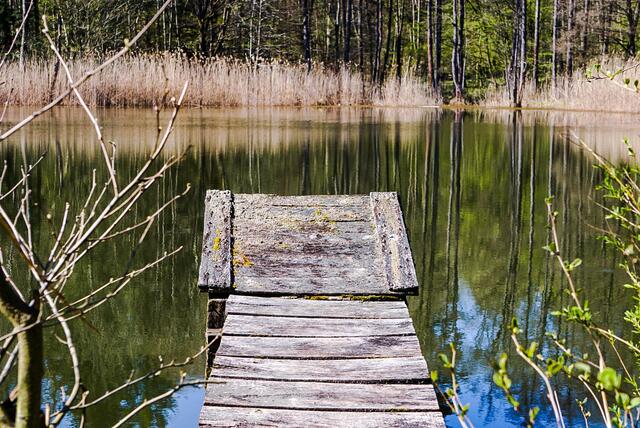 See neben dem Schleierhofer See
