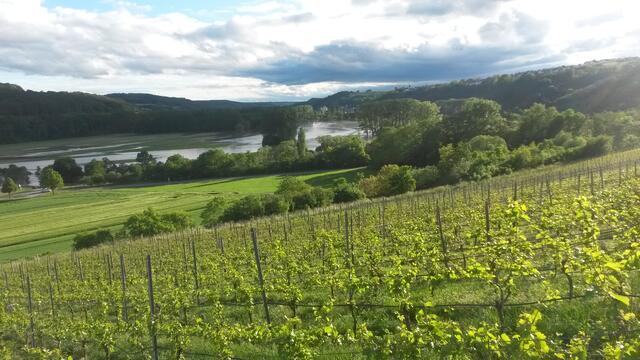 Hochwasser 30. Mai 2016 mit Blick auf Krautheim