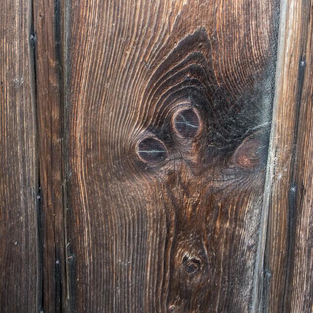 Der kleine Wichtel mit den großen Augen, hat sein Herz auf dem rechten Fleck.