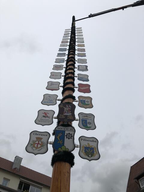 Der Vereinsbaum ist aufgerichtet und steht