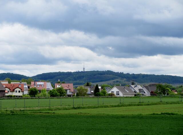 Blick über Horkheim bis zum Schweinsberg.