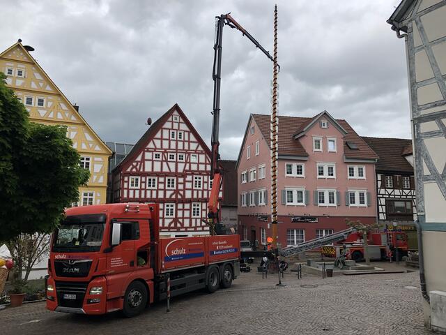 Ausrichten des Stammes