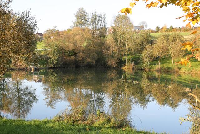 Badesee in Oberginsbach im Herbst