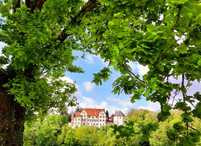 Blick auf die Götzenburg durch ein 'grünes Fenster'