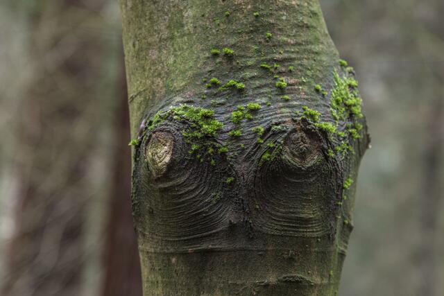 Kritischer Blick
