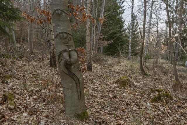 Natur-Kunst