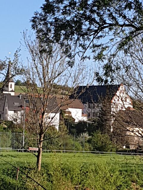 Krautheim Gommersdorf