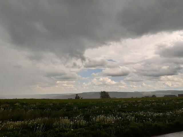 Regenfront im Anmarsch nach Krautheim