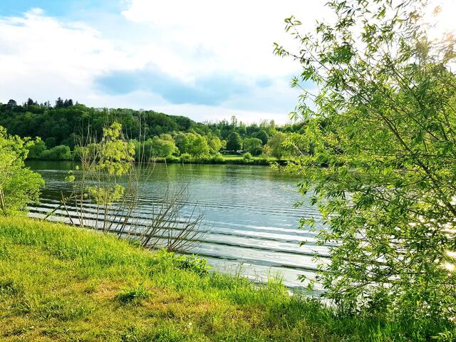 unser Neckar