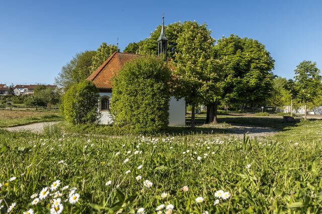 Umringt von Grün und kaum noch zu sehen - Dreifaltigkeitskapelle Kirchhausen