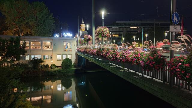 Inselbrücke während der BUGA 2019