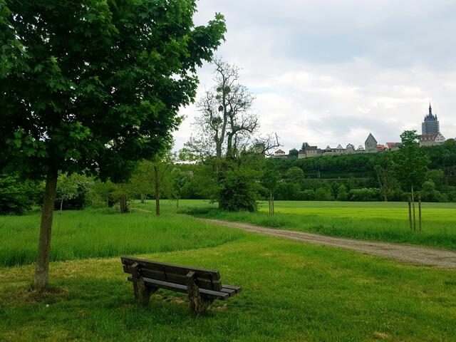 Im Grünen Offenau mit dem Blick auf den blauen Turm