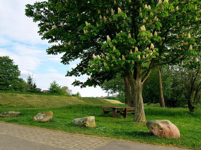 Offenau am Neckar bietet pure Entspannung