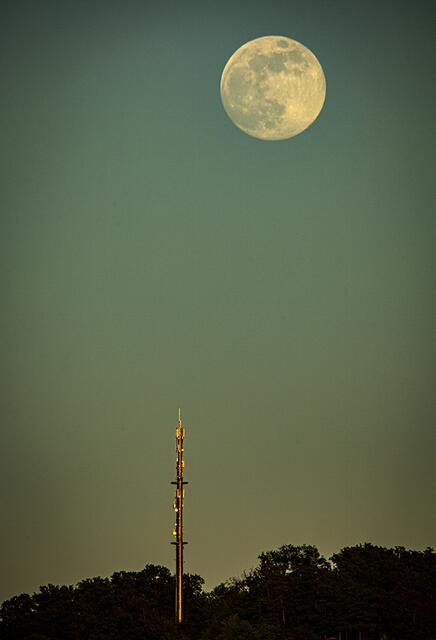 Foto: Rudolf Mester