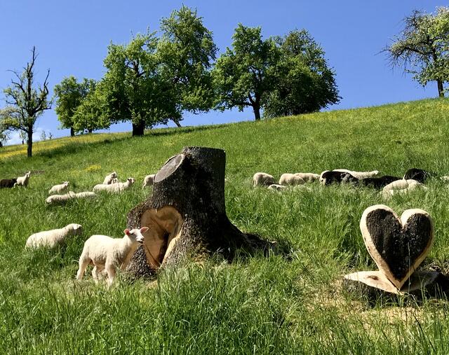 Holzliebe