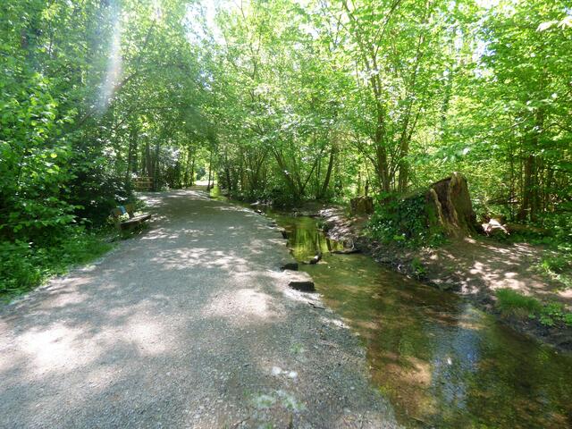 Der Wanderer wird vom Bach begleitet und die Bäume spenden jetzt im Frühling lichten Schatten.