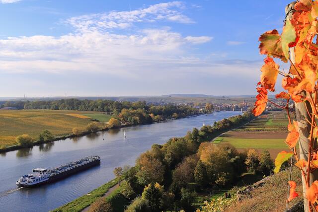 ... weites Land - Lauffen am Neckar