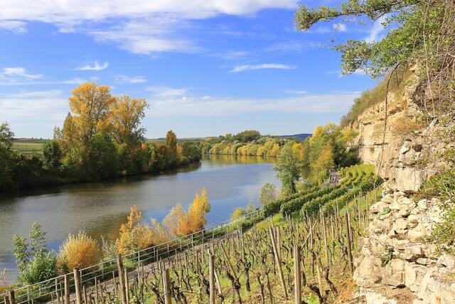 Lauffener Neckarradweg nach Heilbronn