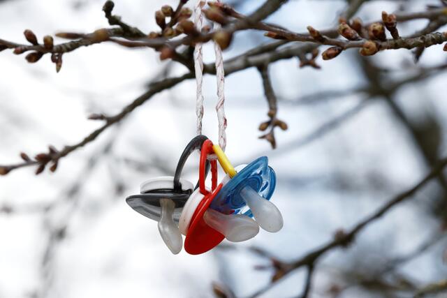 Wo ist dieser sehr seltene Schnullerbaum zu bewundern?