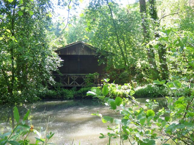Etwas versteckt liegt eine Hütte am Wasser.