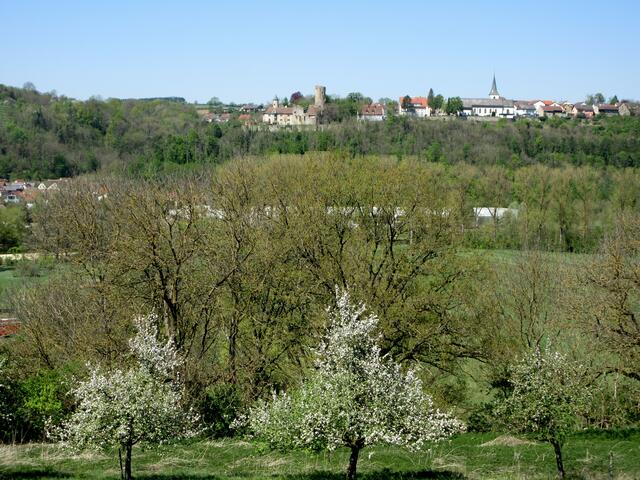 Baumblüte in Krautheim